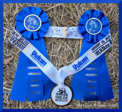 Photo of two blue ribbons and one neck medal