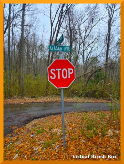 Photo of a street and stop sign on a corner with woods, edited to be bright and splashy