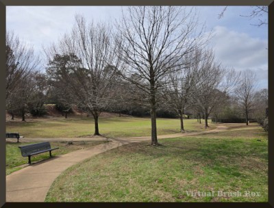 Photo of park with path, trees, and benches