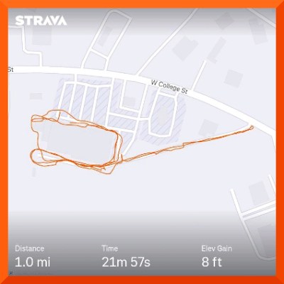 Strava map
