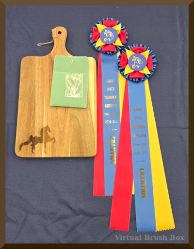 photo of horse show ribbons and prizes