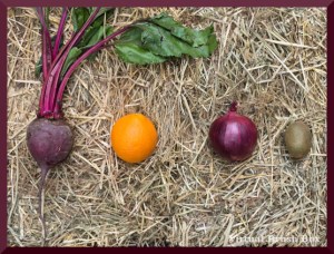 Photo of a beet, an orange, an onion, and a kiwi lying on hay