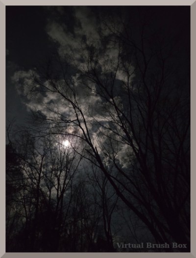 photo of moon, clouds, and trees