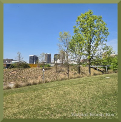 Photo as described, from grass to buildings