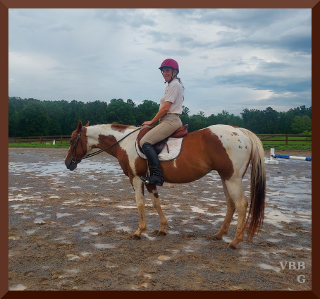 In Which I Ride A Horse, For A Change – Virtual Brush Box