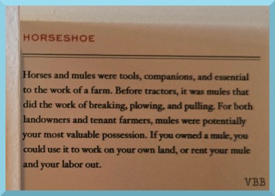 photo of exhibit sign