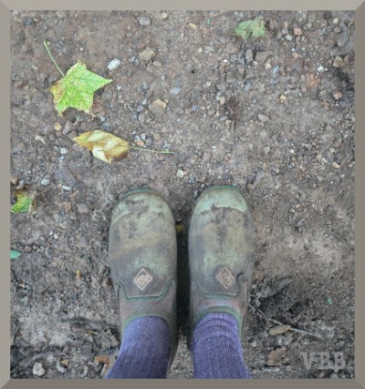 photo of feet standing on dirt