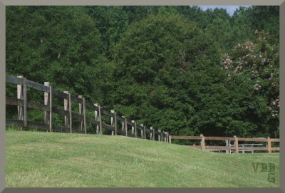 grass field in foreground, fence in middle ground, trees in background