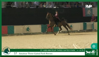 Photo of rider on chestnut horse in show ring