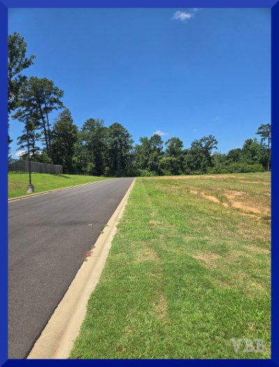 Photo with a road on the left and a grassy area on the right