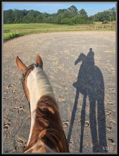 Photo of the ears and neck of a brown and white pony with shadow of pony and rider to the right