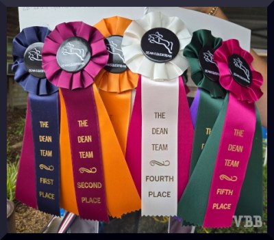 photo of six horse show ribbons
