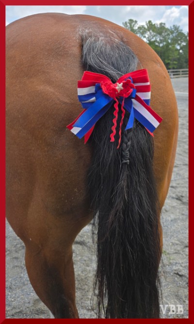 photo of horse tail with red, white and blue bow and ribbon