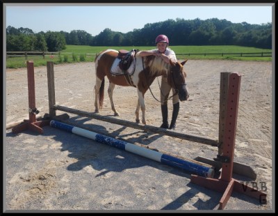 Photo of pony and person standing behind a small jump.