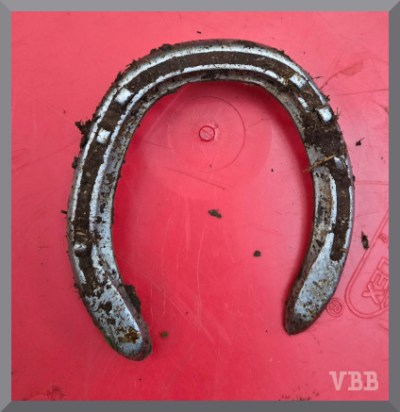 Photo of a horse shoe with dirt and nails sitting on a background of red plastic. IRL it's a pulled shoe on a bucket.