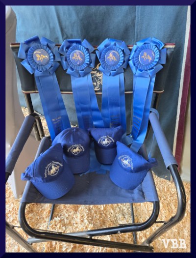 photo of four horse show blue ribbons hanging on a chair with four blue hats on seat of chair
