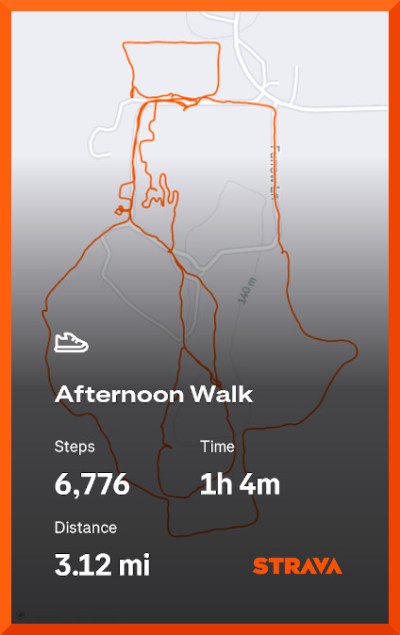 Strava map of 3.22 mile walk