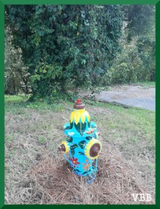 photo of a painted fire hydrant