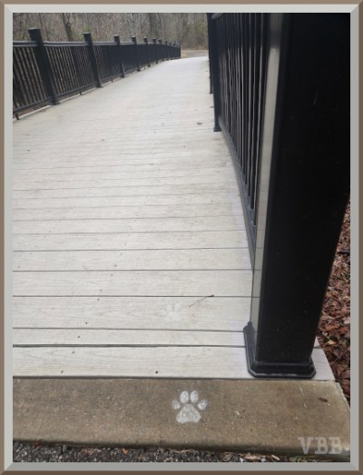 Photo of a pedestrian bridge with a white painted pawprint at the beginning of the of the bridge.