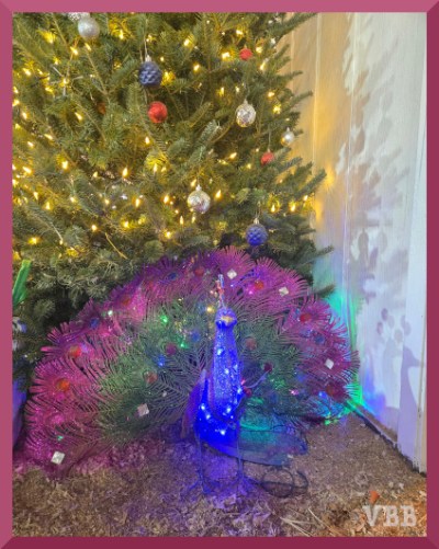 Photo of an illuminated peacock statuette sitting in front of a decorated Christmas tree.