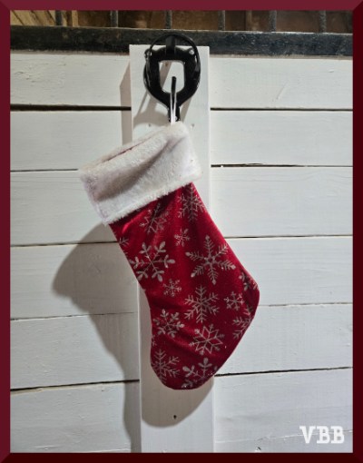 Photo of a red stocking hanging from a black bridle hook on a white painted wooden wall
