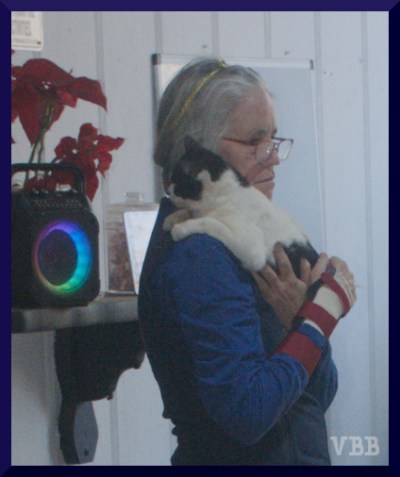 photo of woman in blue shirt holding a black and white cat