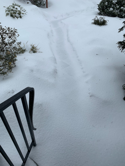 Photo of snow-covered path leading off a set of outside stairs