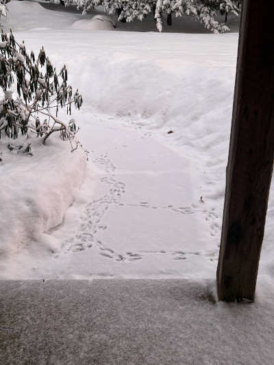 Photo of snow-covered porch with a path partially uncovered