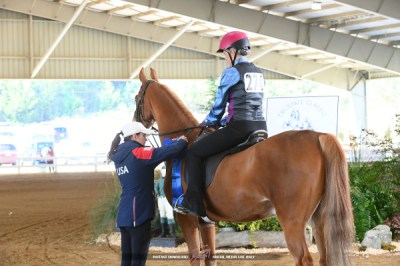Photo of a rider on a chestnut horse with a person on the ground putting a ribbon on the horse's tack, covered ring, presentation decor in the background