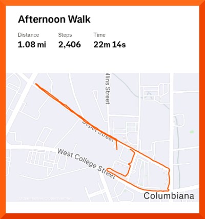 Strava map of 1.08 mile walk