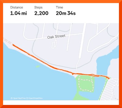 Strava map of 1.04 mile walk