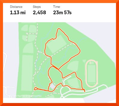 Strava map of 1.13 mile walk