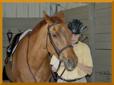 Photo of a grooming stall with a person in a yellow shirt tacking up a chestnut horse