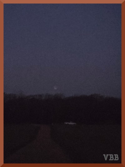Photo of a faint moon over a driveway & trees