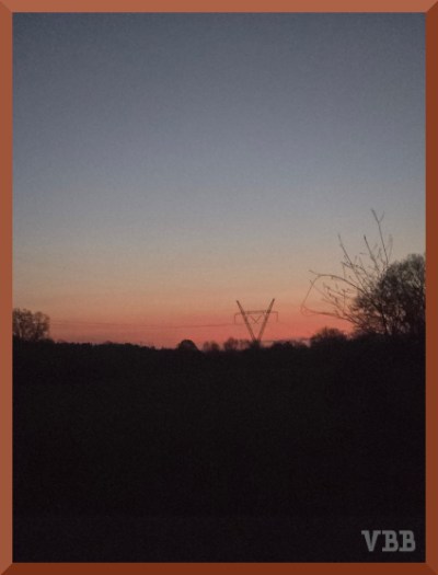 photo of a pre-sunrise horizon with trees & powerline