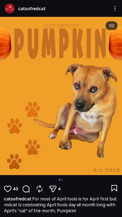 Counting Posts, State of the Blog – Virtual Brush Box