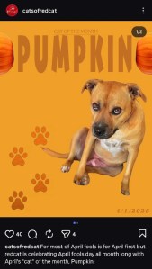 Screenshot explained in text