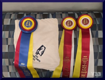 Three horse show ribbons and a folded white blanket lying on a blue plaid bench