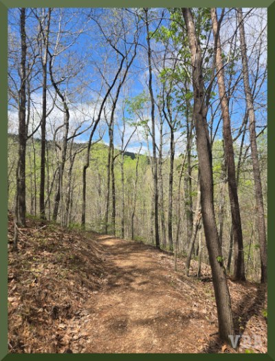 Photo of a dirt path thru trees, with a higher hill in the background