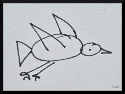 Photo of an ink outline drawing of a bird