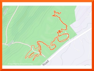 Strava map of 3.12 mile walk