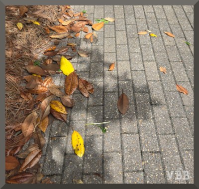 Photo of a brick sidewalk partly covered with leaves