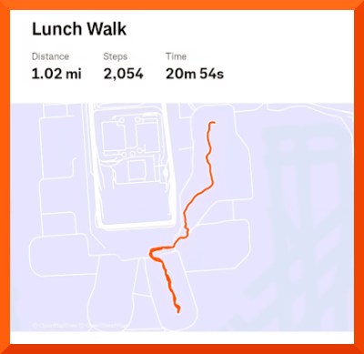 Strava map of 1.02 mile walk