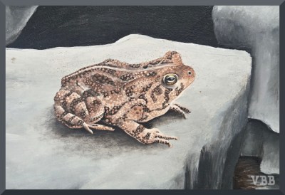 Photo of a painting of a frog on a rock.