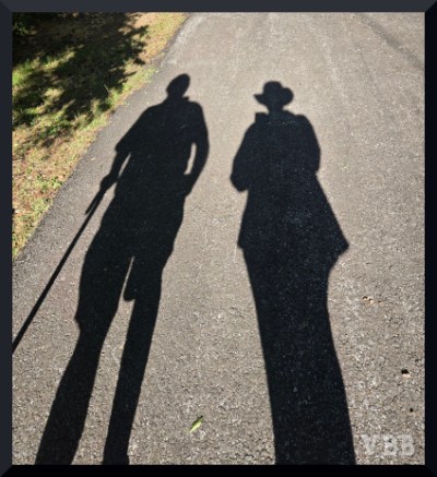 Photo of the shadows of two people against a paved road