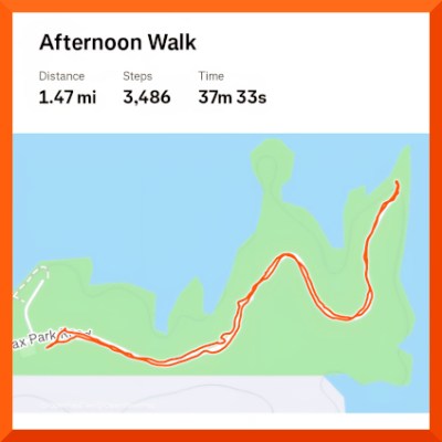 Strava map of 1.47 mile walk