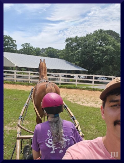 Photo of chestnut horse and driver in midground, with part of a man's face in the foreground.