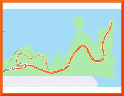 Strava map of 3.14 mile walk