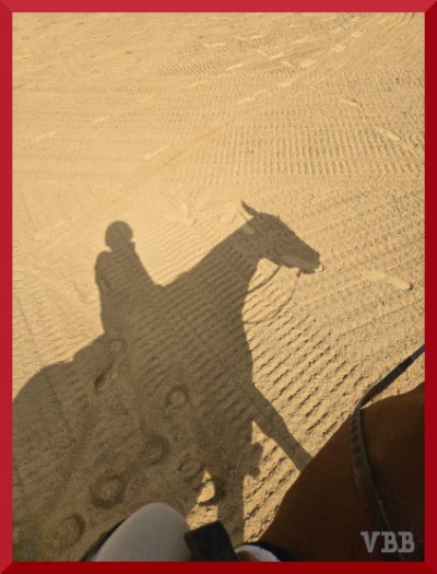 Photo of the shadow of a horse and rider, withshoulder of horse and knee of rider in corner of photo.
