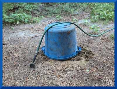 Photo of an blue, overturned muck bucket with a green hose lying on it.